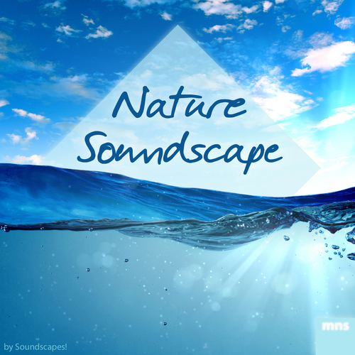 Nature Soundscape Cover Art Blurred Background