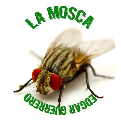 La Mosca Cover Art Blurred Background