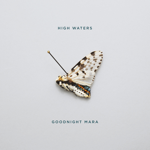 Goodnight Mara Cover Art Blurred Background