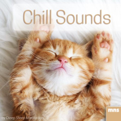 Chill Sounds Cover Art Blurred Background