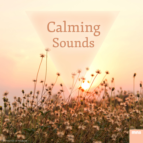 Calming Sounds Cover Art Blurred Background