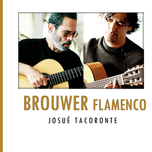 Brouwer Flamenco Cover Art Blurred Background