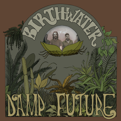 Damp Future Cover Art Blurred Background