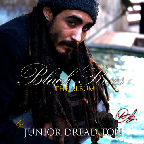 Black Roses Cover Art Blurred Background