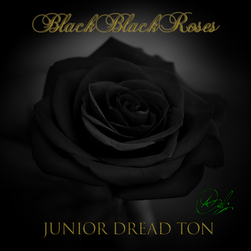 Black Black Roses Cover Art Blurred Background