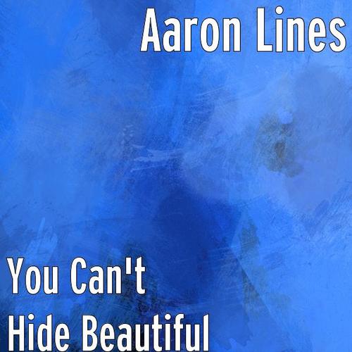 You Can't Hide Beautiful Cover Art Blurred Background
