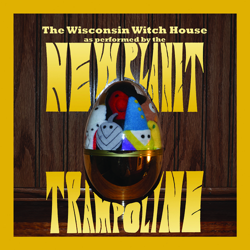 The Wisconsin Witch House Cover Art Blurred Background