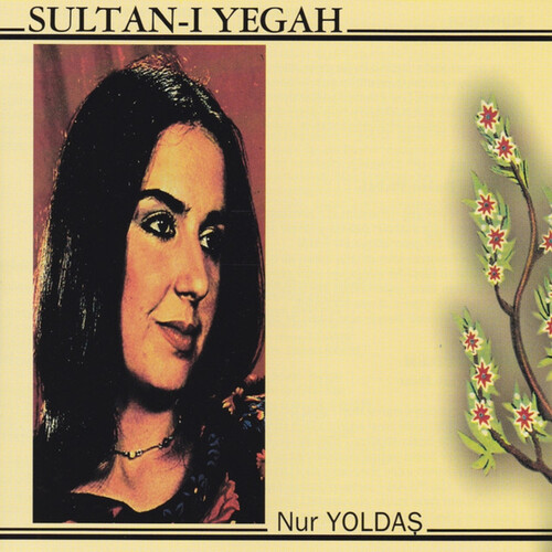 Sultan-ı Yegah Cover Art Blurred Background