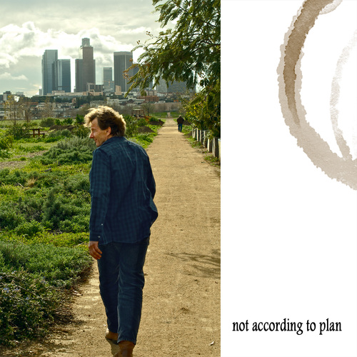 not according to plan Cover Art Blurred Background