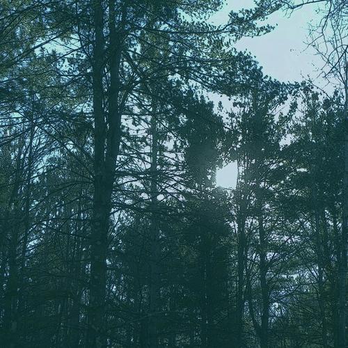 Vacant Cover Art Blurred Background