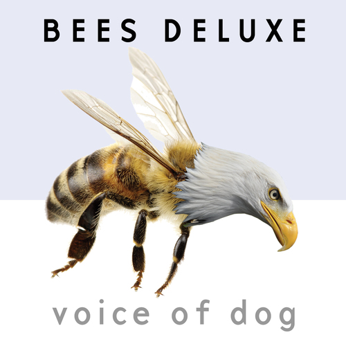 Voice of Dog Cover Art Blurred Background