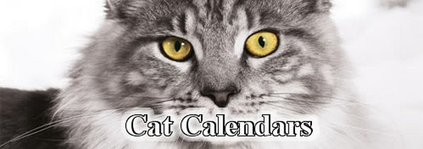 Cat Calendars