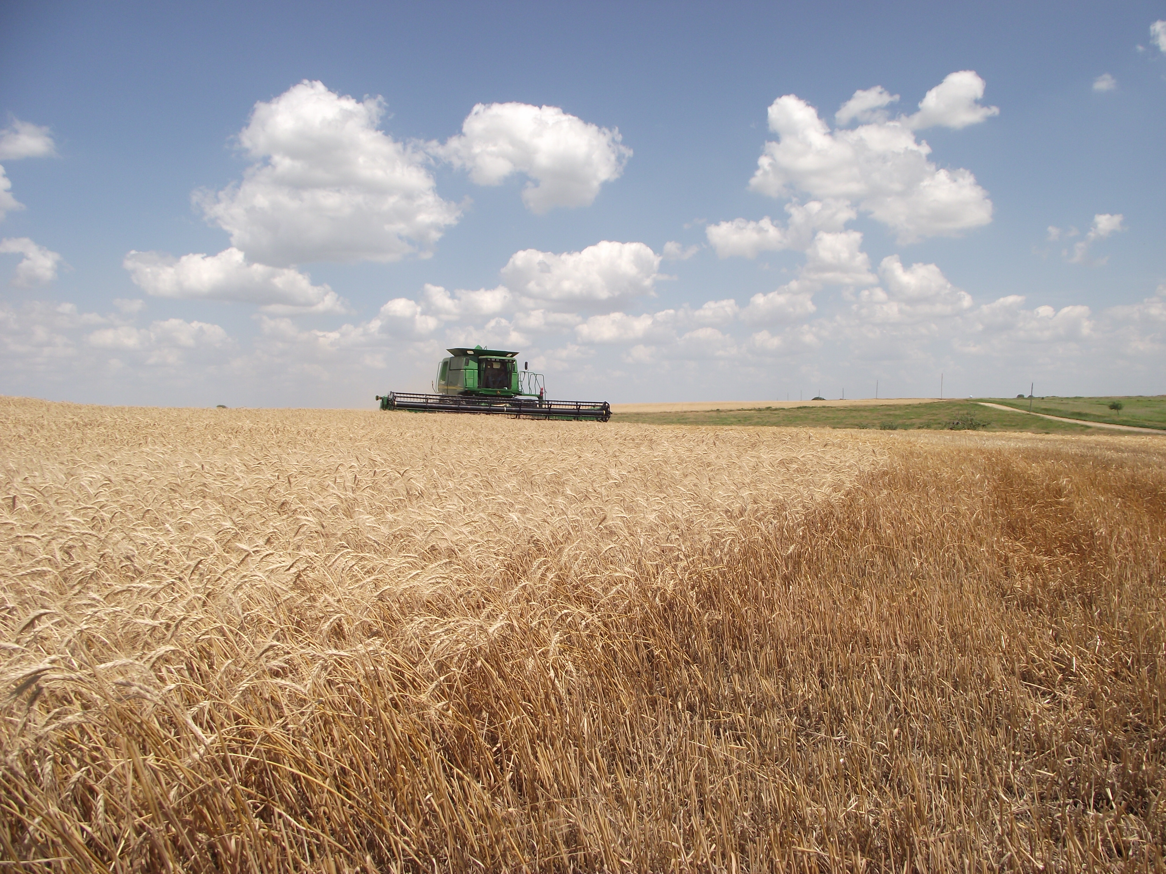 In the Shade of a Semi Harvesting Wheat in Kansas Catholic Rural Life