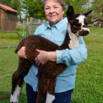 SisterAnn_criaSullivan2016