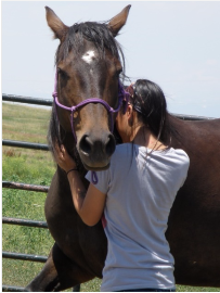 screen-shot-2016-09-13-at-11-57-53-am