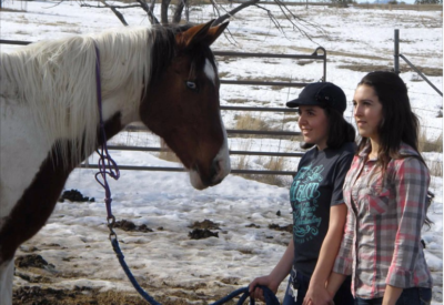 screen-shot-2016-09-13-at-12-03-12-pm