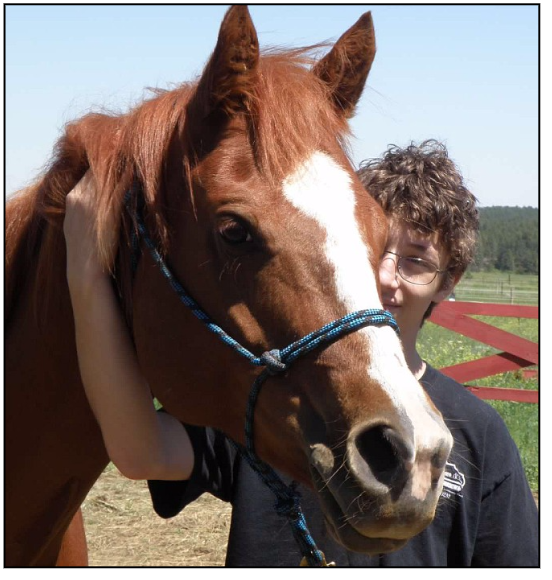 screen-shot-2016-09-13-at-12-09-27-pm