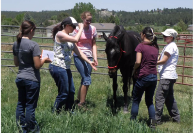 screen-shot-2016-09-13-at-12-11-01-pm