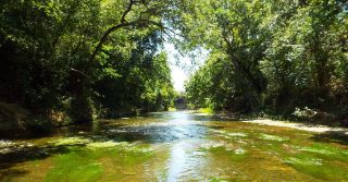 Brushy Creek TX