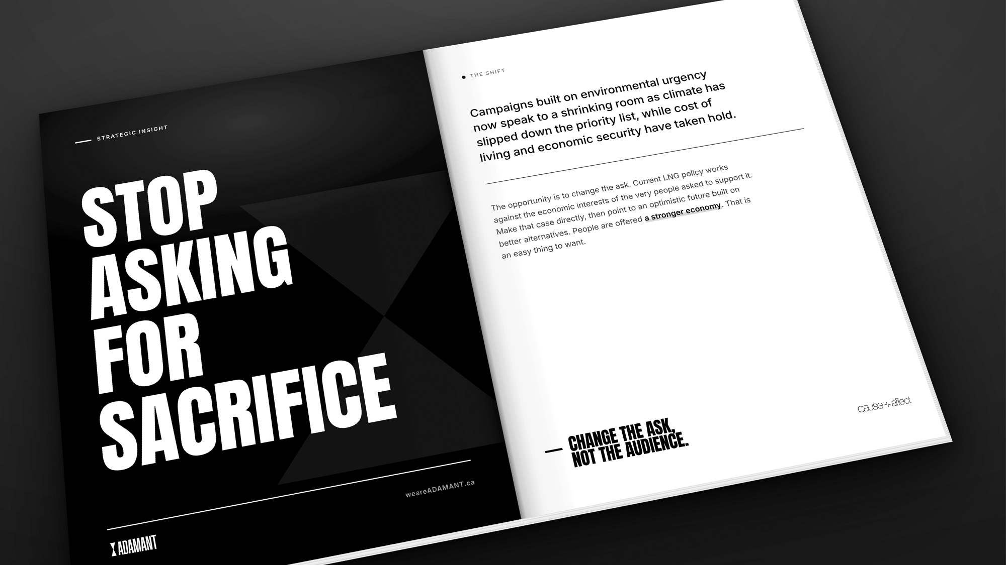 Adamant brand strategy document by Cause+Affect.