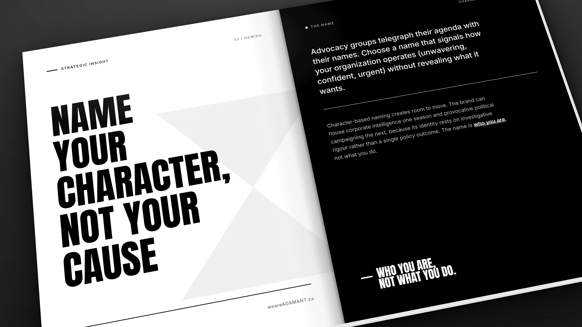 Adamant brand strategy document by Cause+Affect.