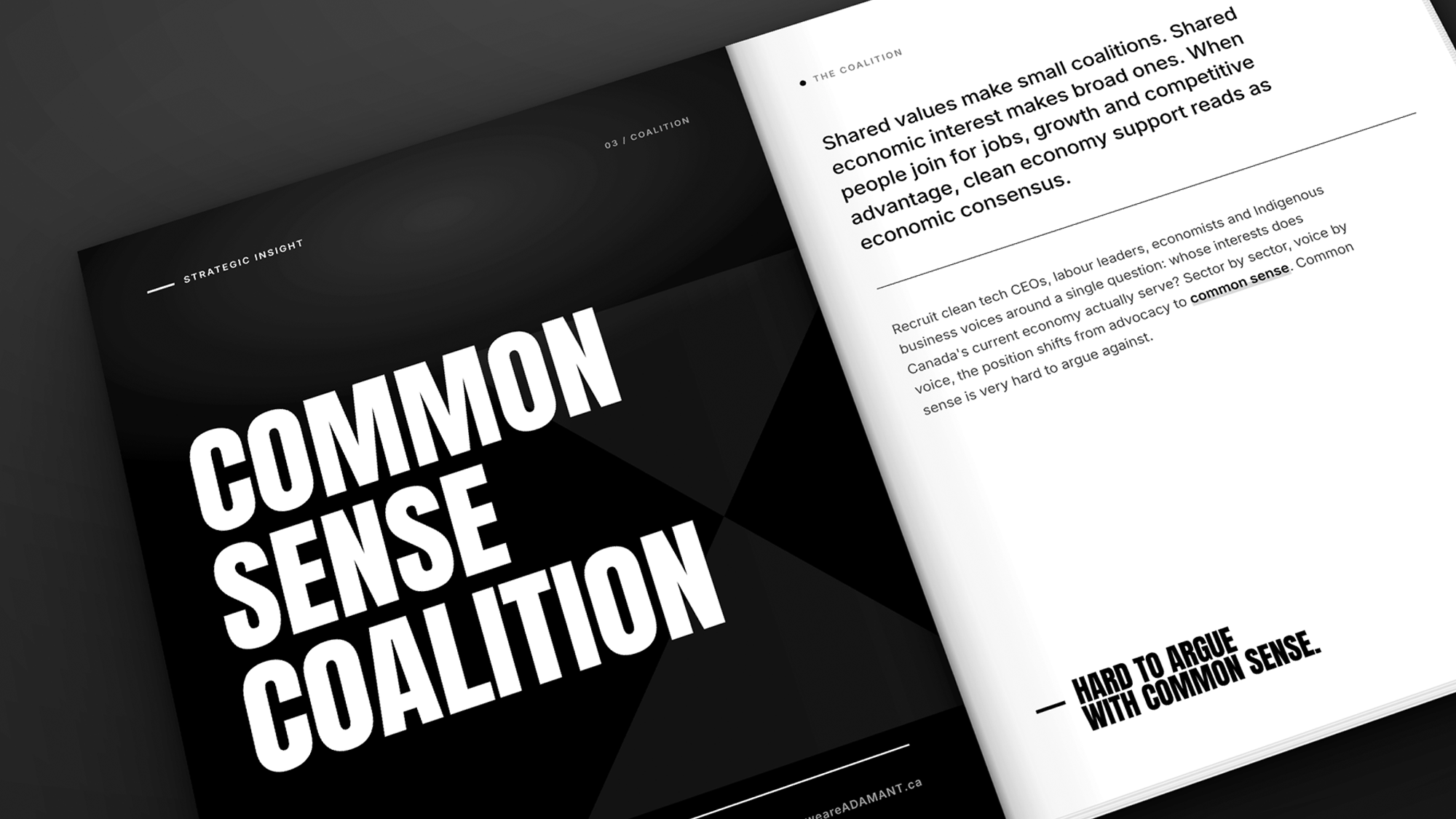 Adamant brand strategy document by Cause+Affect.