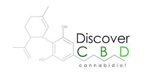 Logo image for CBD Oil Store