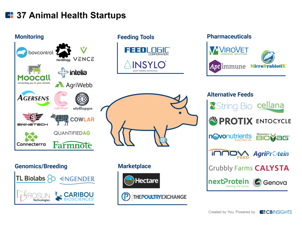Animal Health Market Map 35+ Startups Transforming Livestock And
