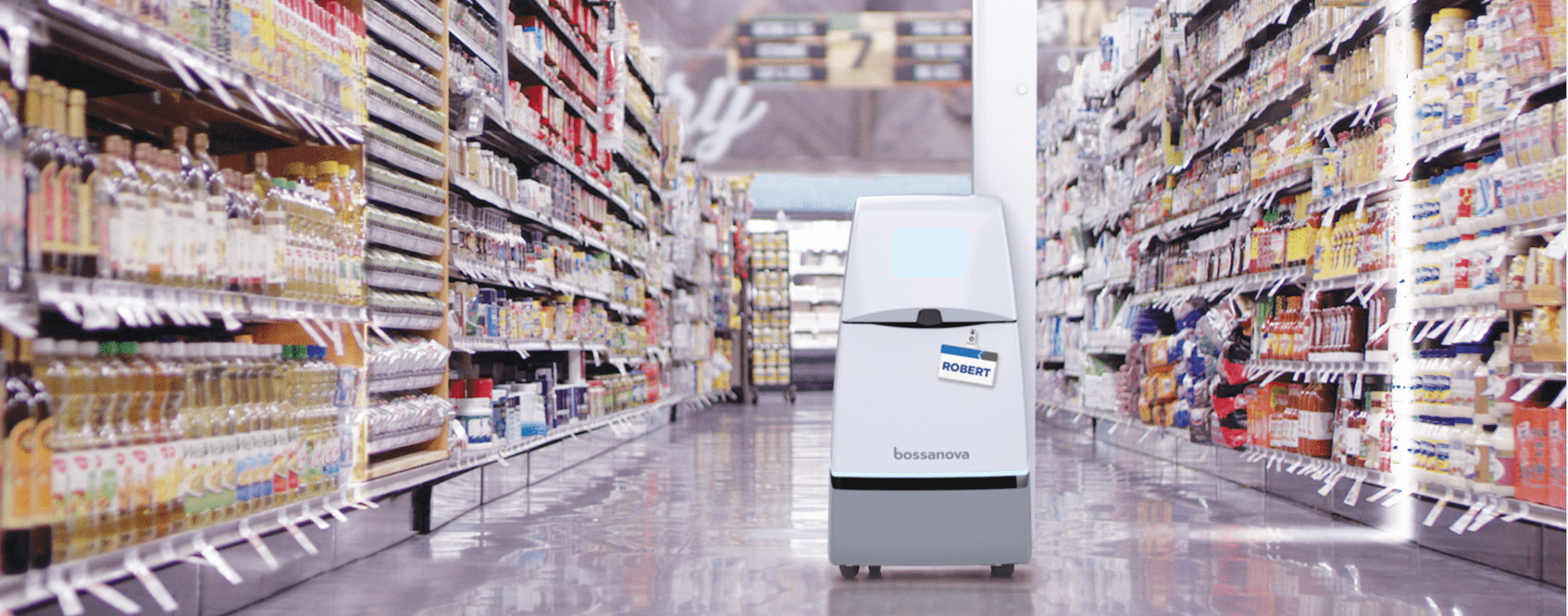 bossa nova robotics inc