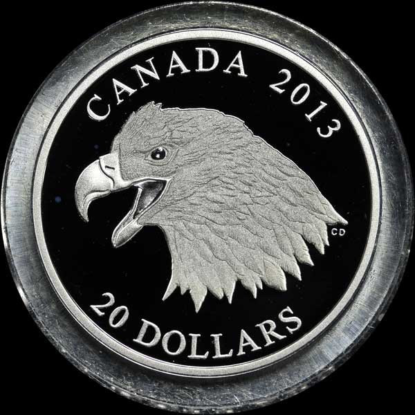 Error Coins: Canada 2013 Bald Eagle Silver $20 Coin, Missing Edge