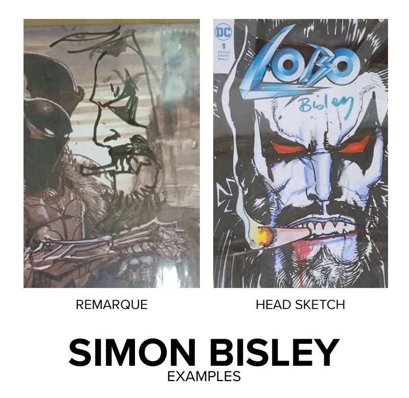 サイン入り BIZ VEROTIK WORLD SIMON BISLEY VEROTIK WORLD ART TPB サイン入り BIZ VEROTIK WORLD SIMON BISLEY
