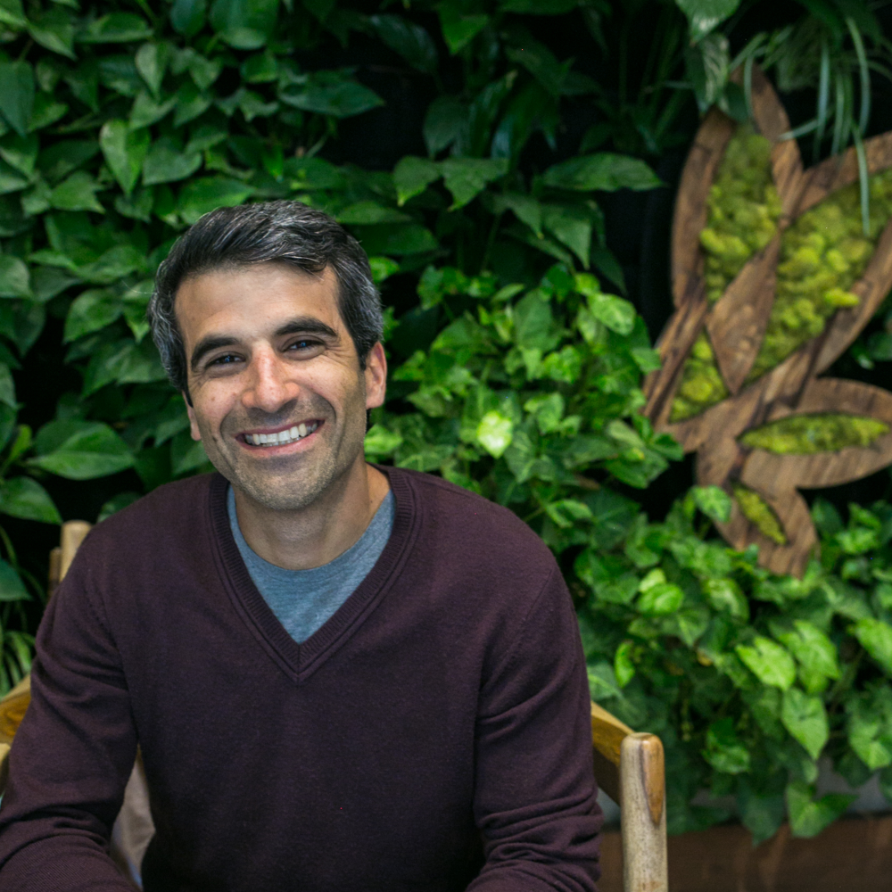 Michael Steinmetz | Co-founder and CEO - Flow Cannabis Co.