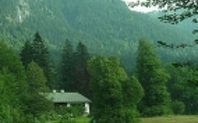 Index_green