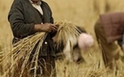 Aside_tibet_farming