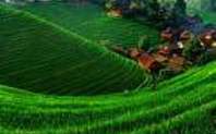 Index_ecological_civilisation
