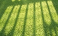 Index_cambridge