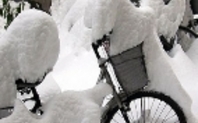 Index_snow