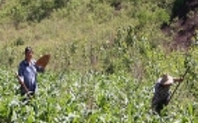 Index_beijing-farmer