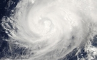 Index_typhoonone