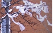 Aside_plastic_bag