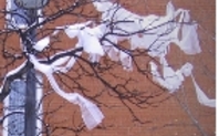 Index_plastic_bag