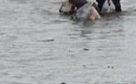 Index_flooding