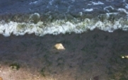 Aside_coast_water