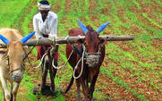 Aside_indianfarmerbig