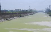 Aside_eutrophication_large