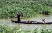 Aside_marsh_arabs_in_a_mashoof_large