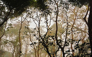 Aside_3762966571_8c52924ccc
