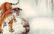 Aside_tiger_in_the_wild_large