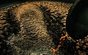 Aside_water_pollution_0411_large