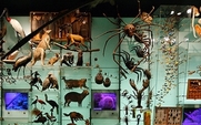 Aside_biodiversity_2202_large